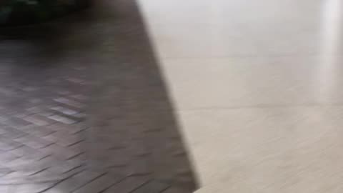 AUGUST 8 2025 AT CRANBERRY MALL PART 2
