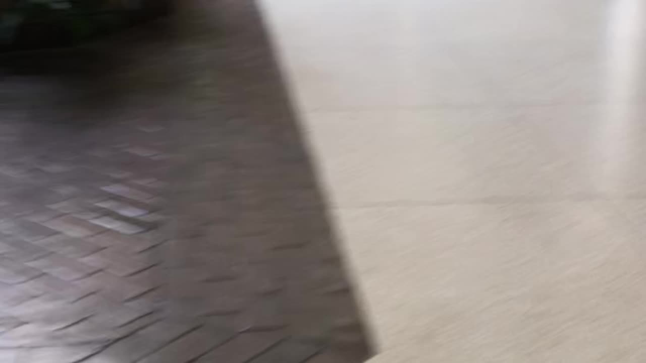 AUGUST 8 2025 AT CRANBERRY MALL PART 2