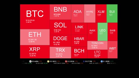 Live Coin Price Watch!