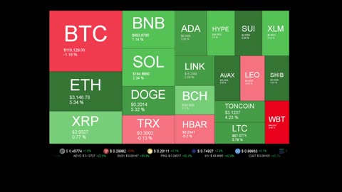 Live Coin Price Watch!