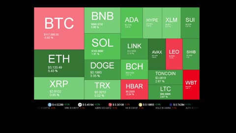 Live Coin Price Watch!