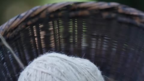 Every thousand years, Ami's loom rises and falls tens of thousands of times