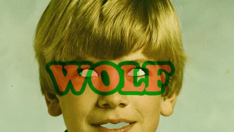 Tyler The Creator - Llama (WOLF 2010 V)