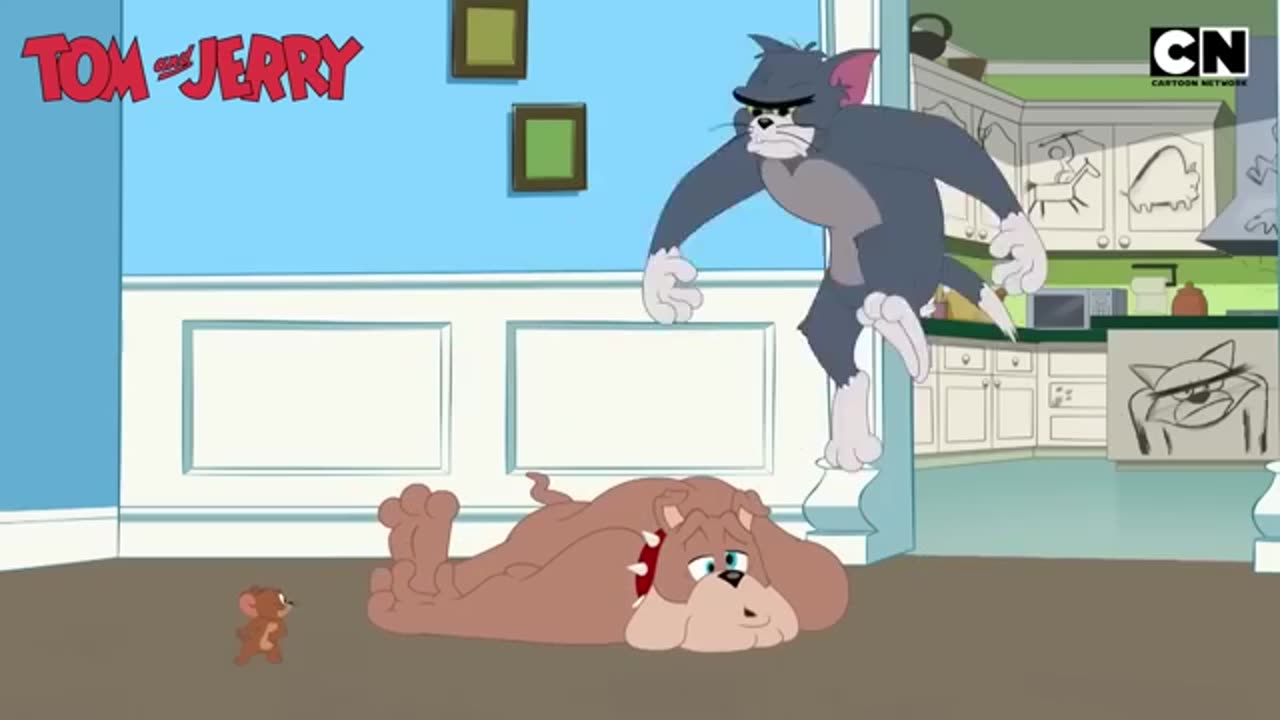 tom and jerry cartoon | cartoon video