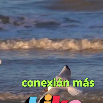 😊 115 TODO SERÁ REVELADO Juan 14:22 😊