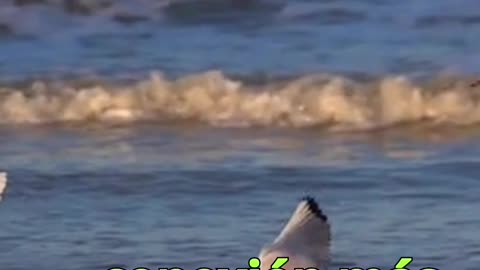 😊 115 TODO SERÁ REVELADO Juan 14:22 😊