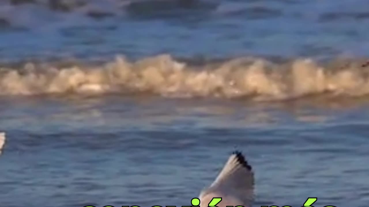 😊 115 TODO SERÁ REVELADO Juan 14:22 😊