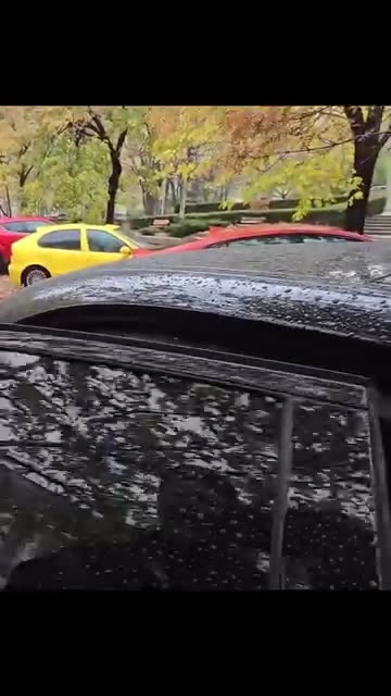 Tate Clips - Clip #19