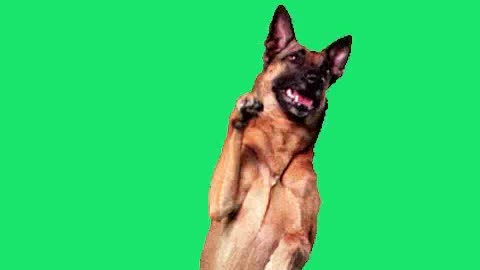 o melhor de chaves 2.mp4