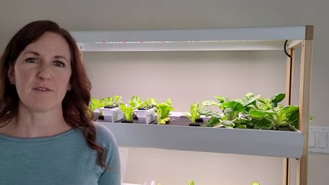 Review of Rise Garden