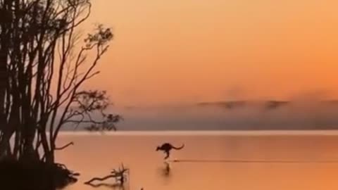 Take a Moment to Pause and Breathe