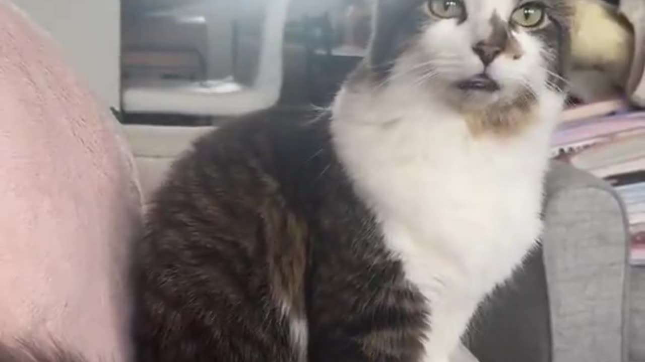 sleeping cause he pays the bills