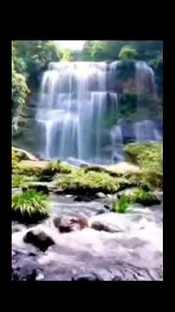 a smidgeon of praises - end time expedition