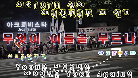 서초13TH, 야간 청년국민 서초대로 띠잇기 자율집회,대통령 만남,무엇이 이들을,서초로 부르나,MD-33오늘도 안녕?/What calls them the grasshoppers