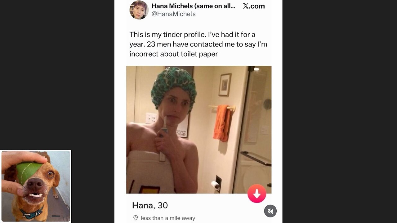 Memes That Will 99.0537% Make You Laugh. (e761)