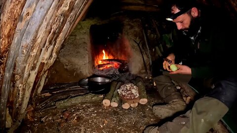 Bushcraft Shelter Built with Fireplace | Wilderness Survival with My Dog
