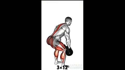 Workout for legs
