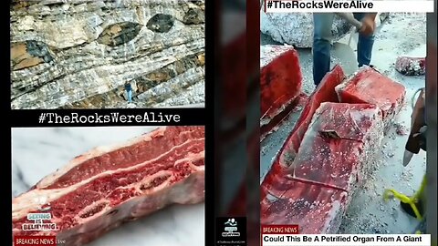 BIO-GEOLOGY  Petrified Fragments of Titans