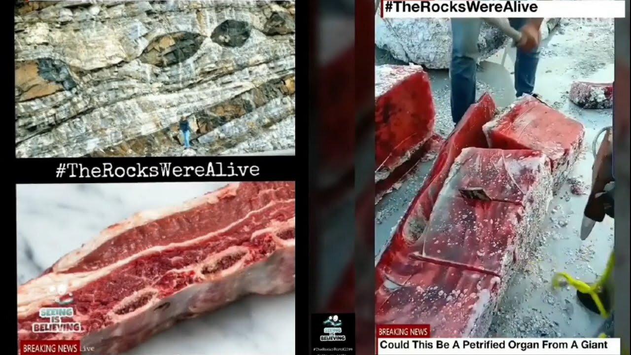 BIO-GEOLOGY  Petrified Fragments of Titans