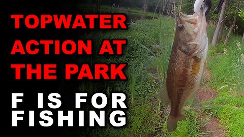 Topwater Action at the Park