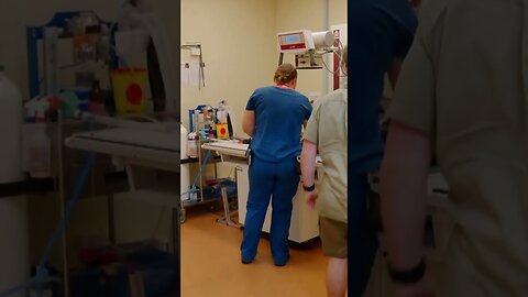 The woman saved a rare black swan and returned it to his couple