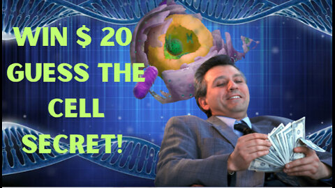 The organelle that decides if you live or die.