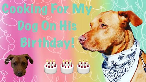 Cooking For My Dog On His Birthday