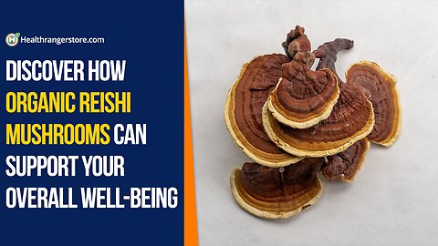 Discover how Organic Reishi Mushrooms can support your overall well-being