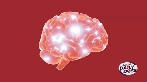 "Uncovering the Possible Link Between HPV Vaccine and Brain Diseases"