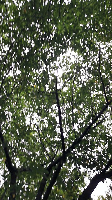 20250707. Holy Spirit.