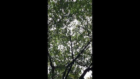 20250707. Holy Spirit.