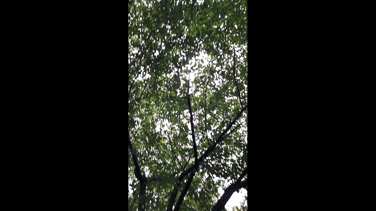 20250707. Holy Spirit.