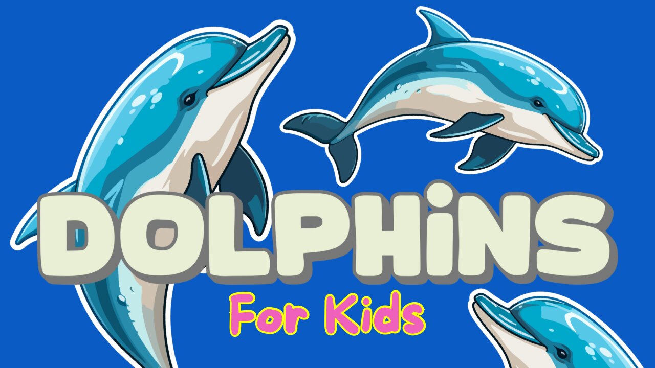 Dolphins: The Ocean’s Most Intelligent Swimmers! 🐬