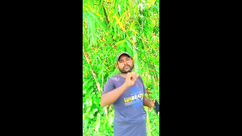 “পাস করেও বেকার! ঘুষ ছাড়া চাকরি নেই – বাস্তবতার নির্মম গল্প”