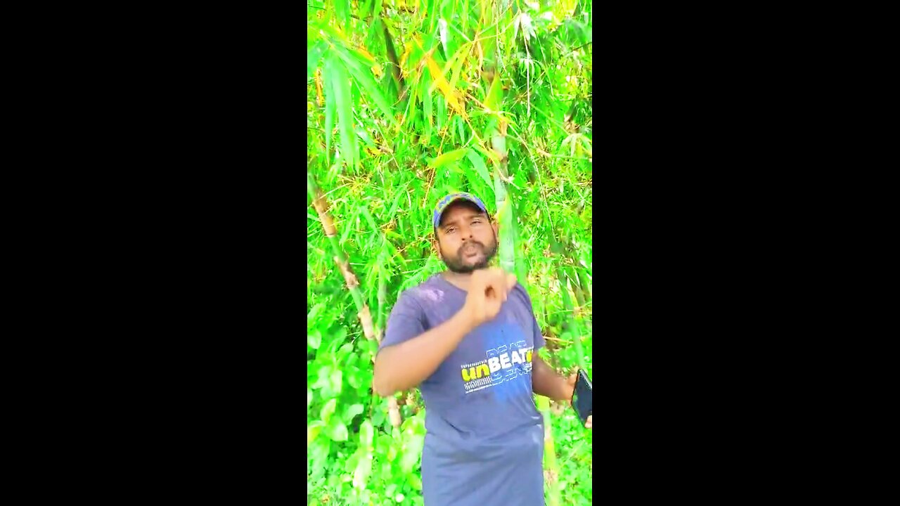 “পাস করেও বেকার! ঘুষ ছাড়া চাকরি নেই – বাস্তবতার নির্মম গল্প”