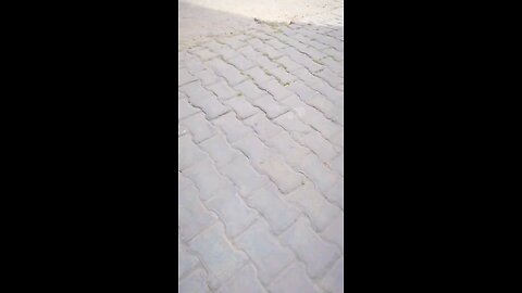 हम तुम्हारे लिए