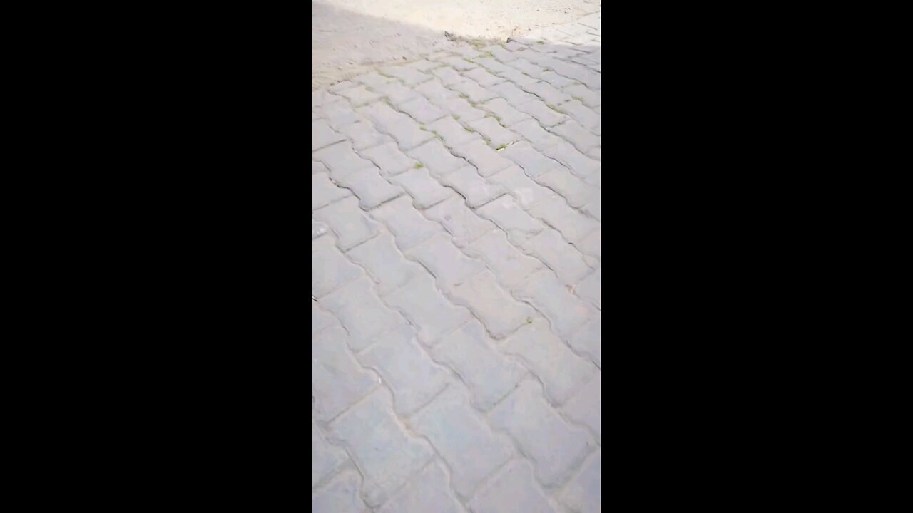 हम तुम्हारे लिए