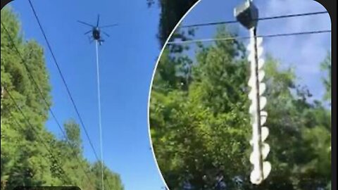 Insane Helicopter Tree Trimming—You Won’t Believe This! 🚁😱