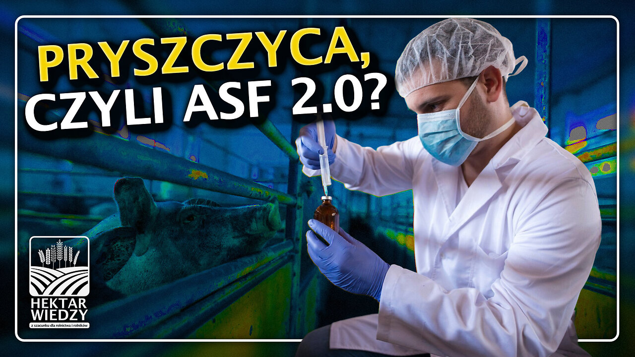 PRYSZCZYCA, CZYLI ASF 2 0? | #hektarwiedzy