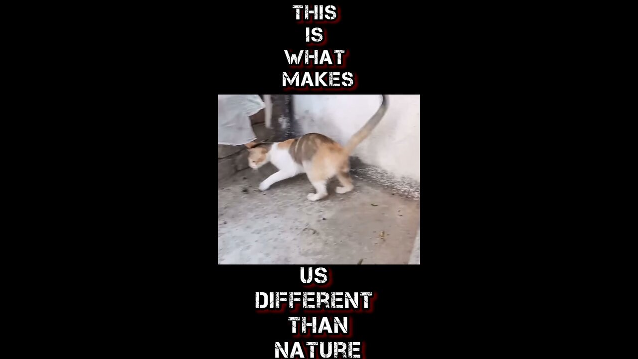 This Is What Makes Humanity Worse Than Nature