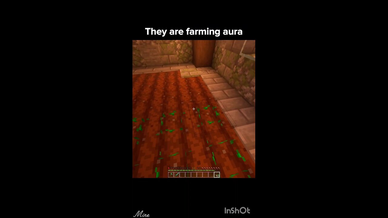 the real aura farming