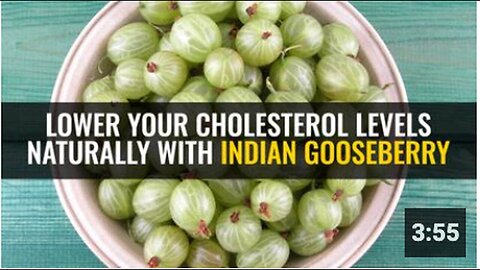 "Naturally Lower Cholesterol Levels with Indian Gooseberry"