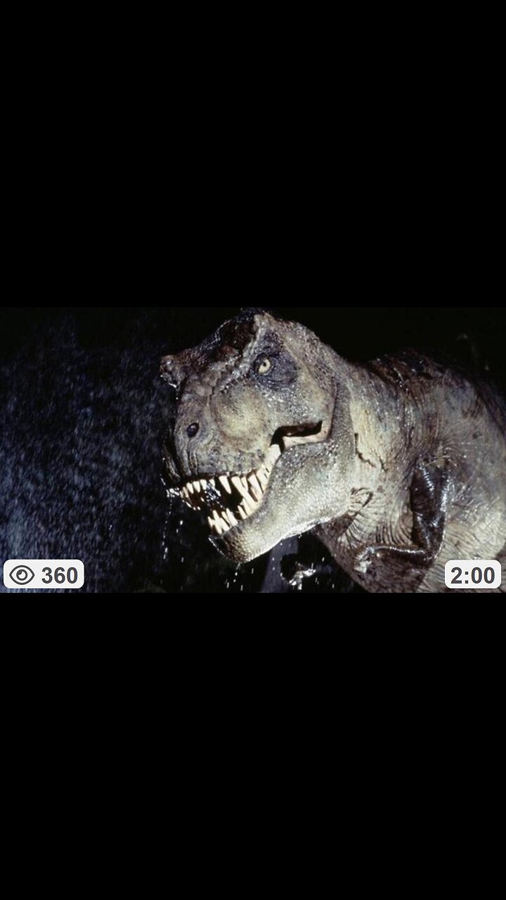 They didnt call them Dinosaurs in the Bible they called them Dragons