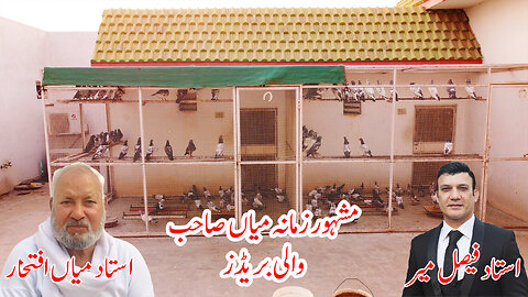 Ustad Mian Nazir Pigeons At Ustad Mian Iftikhar,s House Watch In HD Urdu/Hindi