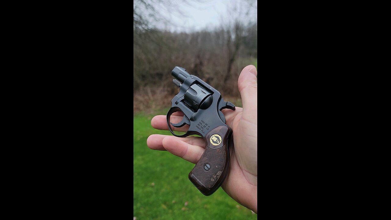 RG RG14 22lr Revolver