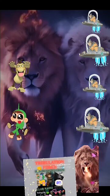 SPACE 🚀 MONKEY SOLUTIONS