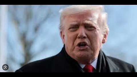 White House in Turmoil Trump Immigration Guru Admits Border Agents May Have Violated Protocol