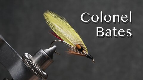 Colonel Bates: a Carrie Stevens streamer fly pattern