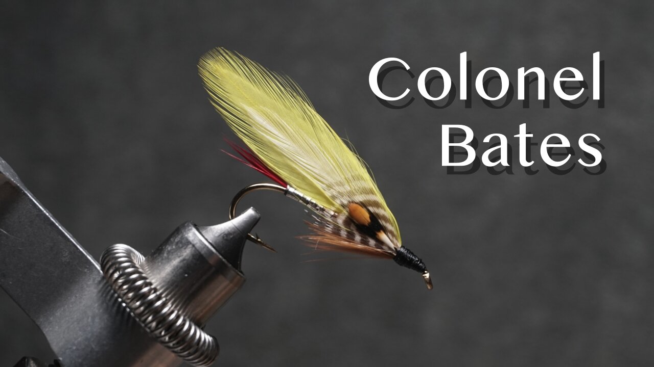 Colonel Bates: a Carrie Stevens streamer fly pattern