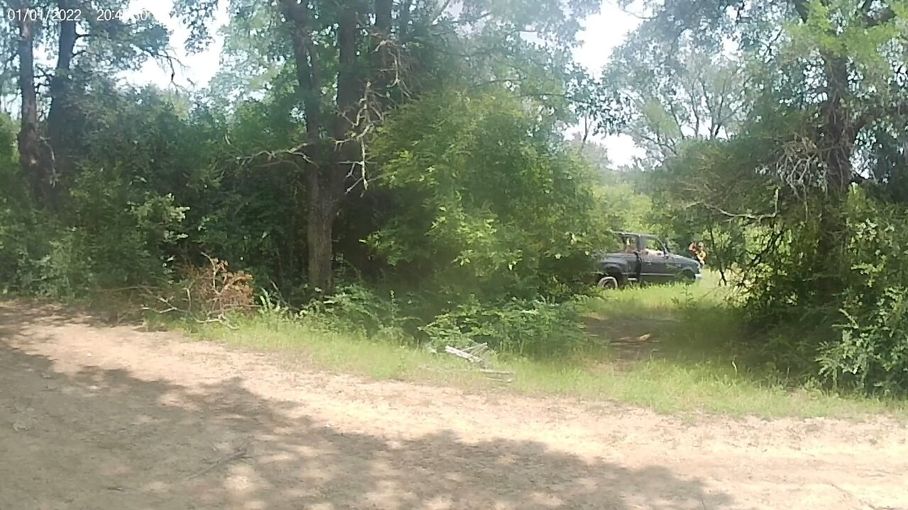 D14